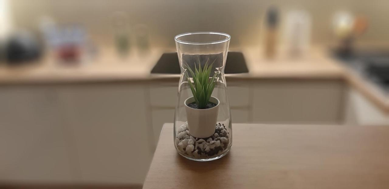 Apartament Cyrkoniowa Lublin Bagian luar foto